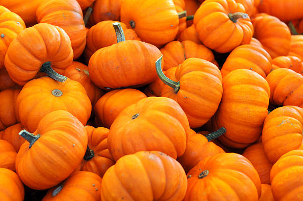 istock orange pumpkins for halloween 184592082