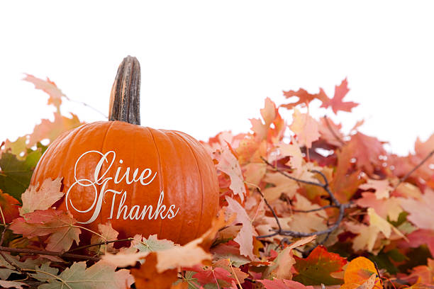istock Thank You - Thanksgiving Theme 184592107