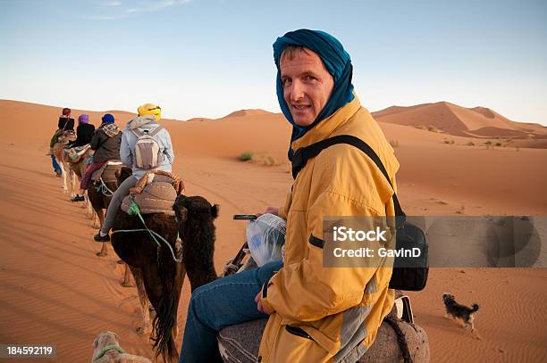 Турист Освобождая Верблюд Обучают В Сахара Африка — стоковые фотографии и другие картинки Верблюд - Верблюд, Марокко, Кататься