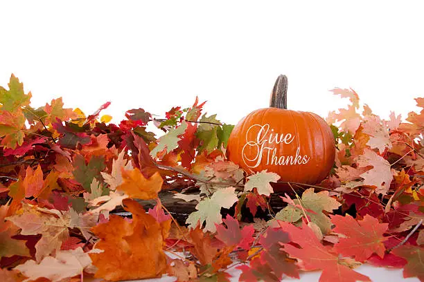 Pumpkin painted with the words give thanks resting on colorful Fall leaves.