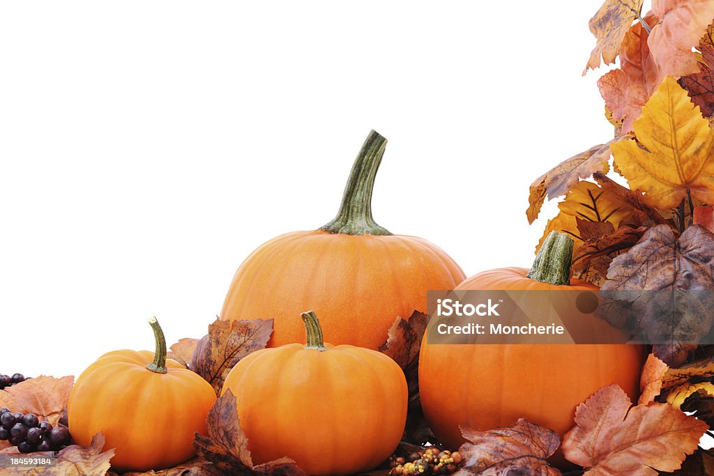 Клён и pumpkins - Стоковые фото Без людей роялти-фри