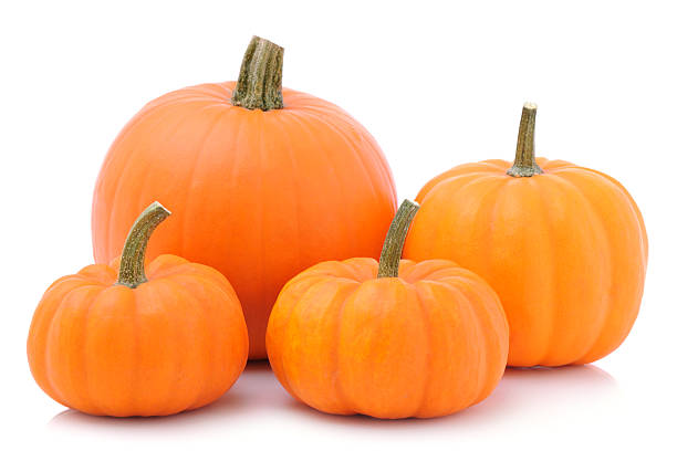 Four pumpkins Four pumpkins - isolated background - XXXL Image miniature pumpkin stock pictures, royalty-free photos & images