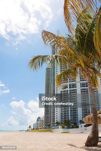 Vista De Alta Aumenta Por El Beach En Miami Florida Foto de stock y más banco de imágenes de Agua