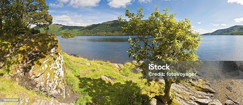 Quercia estate spiaggia Loch Lomond panorama Scozia - Foto stock royalty-free di Acqua