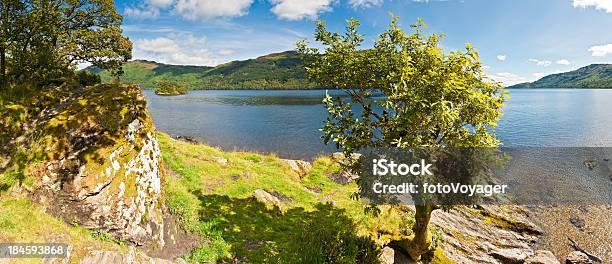 Carvalho De Verão Costa Loch Lomond Panorama Escócia - Fotografias de stock e mais imagens de Afloramento