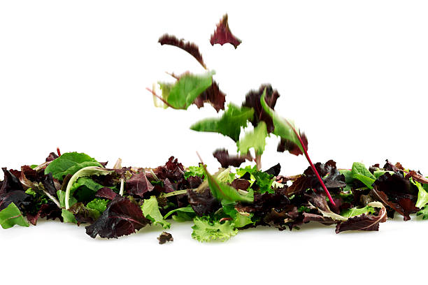 istock Falling Fresh Salad Leaves, Isolated on White 184594711