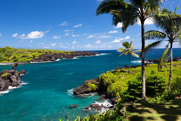 idílica bay con palmeras y el mar azul, maui, hawai - traffel fotografías e imágenes de stock
