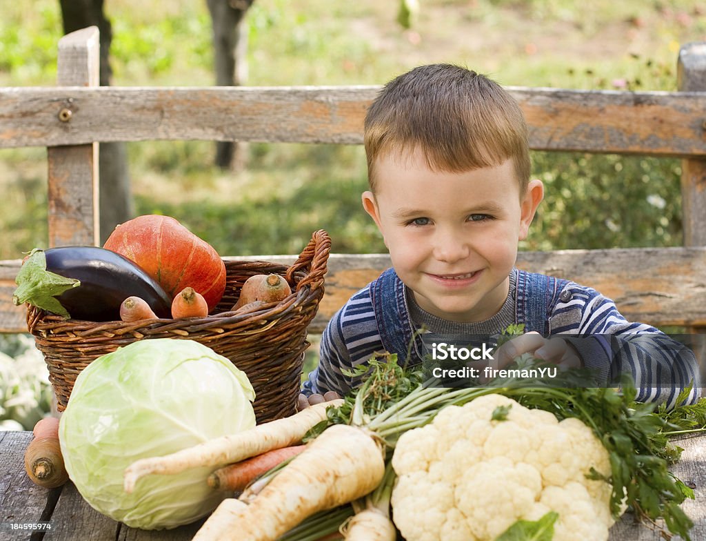 Little boy en jardín de vegetales - Foto de stock de Col libre de derechos