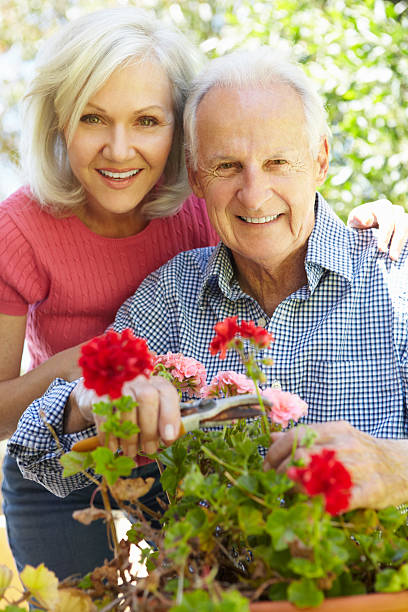 istock Senior couple in garden 184595980