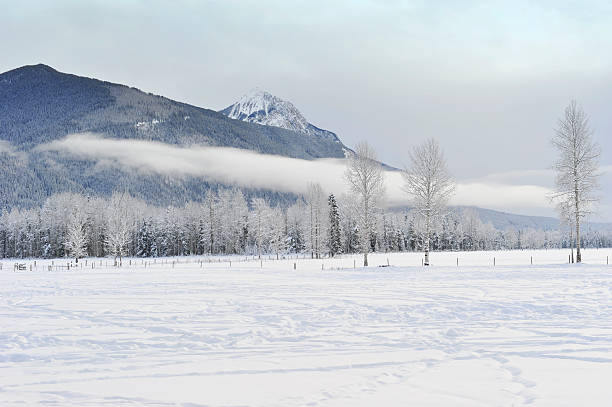 istock Snows cape near Golden, British Columbia, Canada 184596119