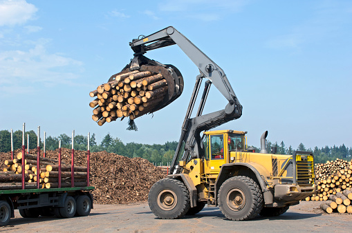 Wheel loader loading timber in saw mill. Grapple full of timber.