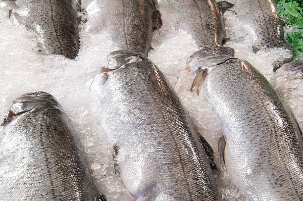istock Fresh Salmon at Pike Place Market 184597535