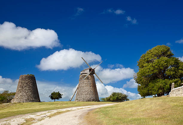 istock Betty's Hope, Antigua 184597647