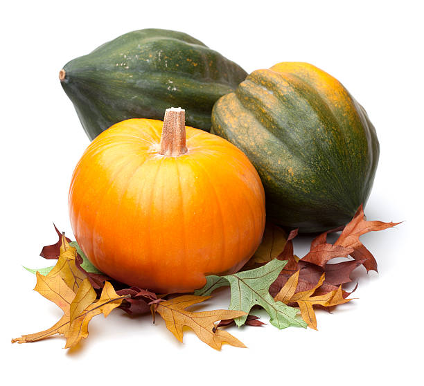 istock Pumpkin and Acorn Squashes with Fall Leaves 184598475
