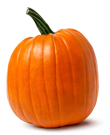 An idyllic orange pumpkin isolated on white with shadow - clipping path included