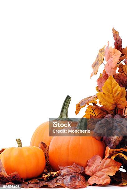단풍 나무 Pumpkins 0명에 대한 스톡 사진 및 기타 이미지 - 0명, 10월, 11월