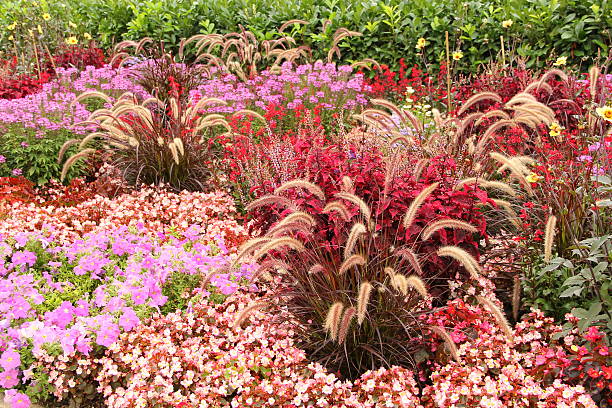 istock Flower garden in summer 184598646