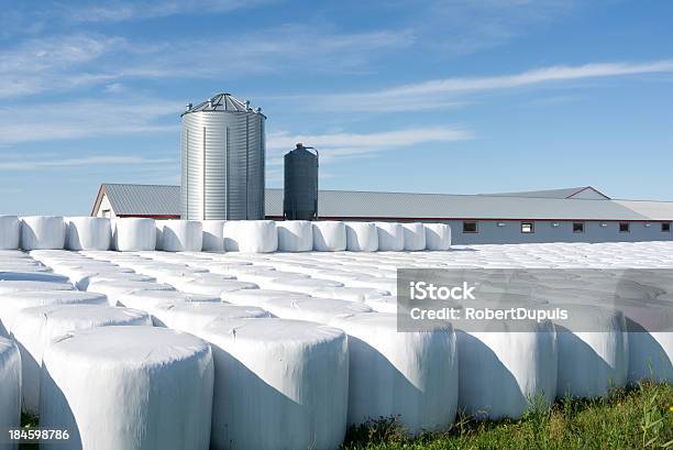 Hay Bale Stockfoto und mehr Bilder von Agrarbetrieb - Agrarbetrieb, Ernten, Farbbild