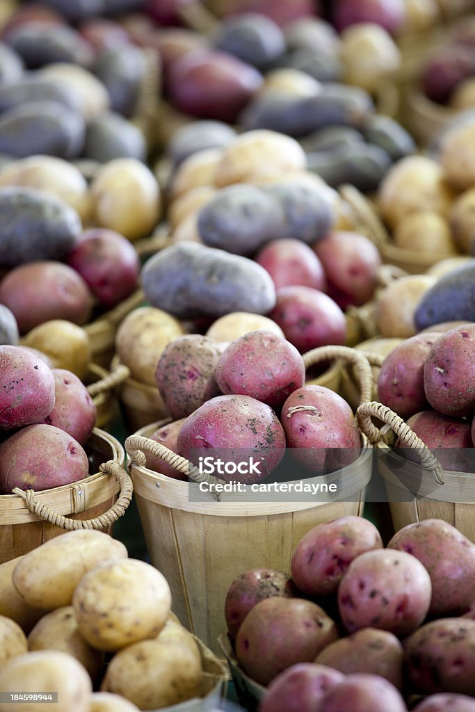 Ziemniaki w Montreal Farmers Market, Quebec, Kanada - Zbiór zdjęć royalty-free (Peruwiański ziemniak)
