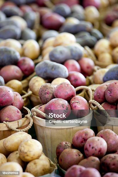 Ziemniaki W Montreal Farmers Market Quebec Kanada - zdjęcia stockowe i więcej obrazów Peruwiański ziemniak