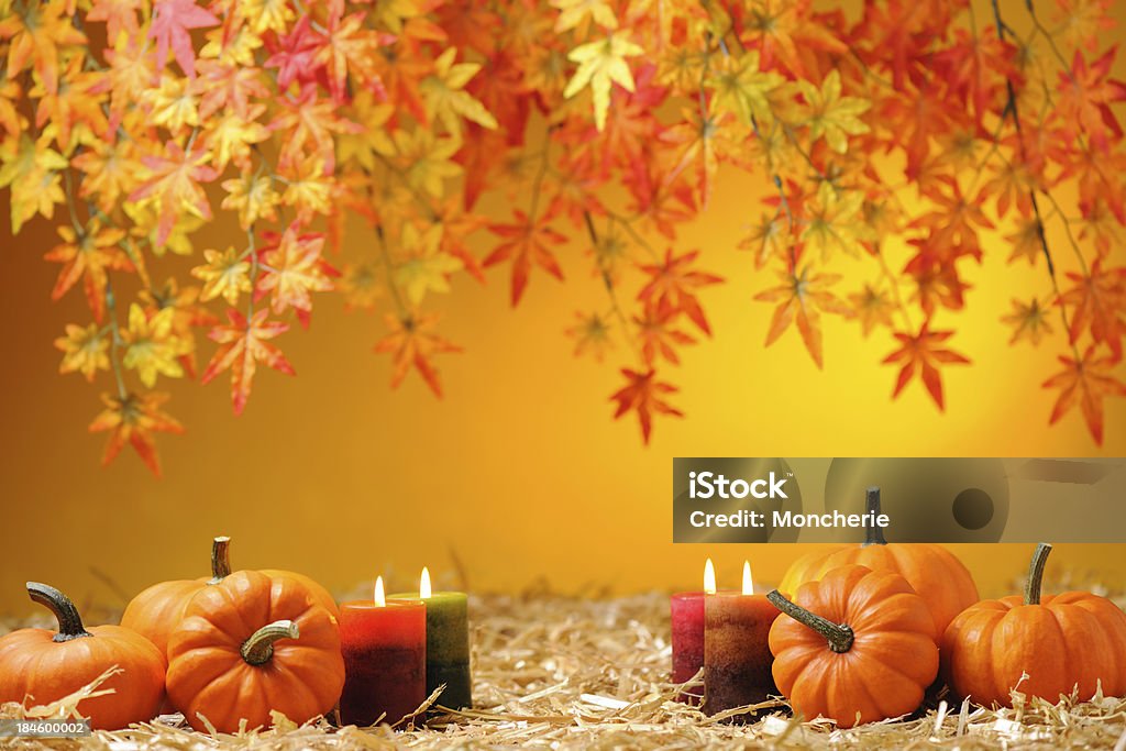 Autunno Decorazione - Foto stock royalty-free di Foglia