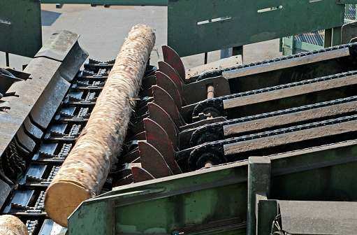 The modern cutting line in saw mill - Lumber industry.
