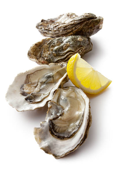 istock Fresh oysters on the half shell and lemon wedge 184600166