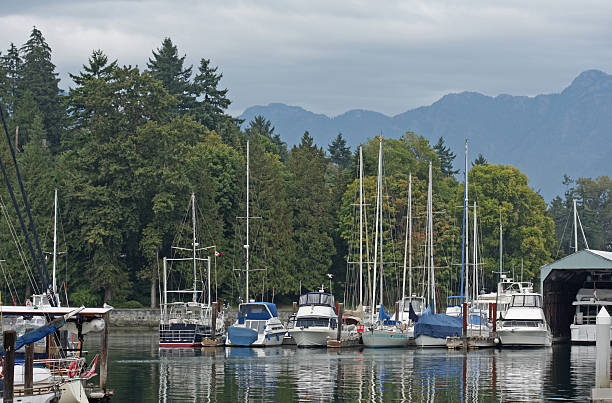 istock Moored Boats near Stanley Park, Vancouver 184600522