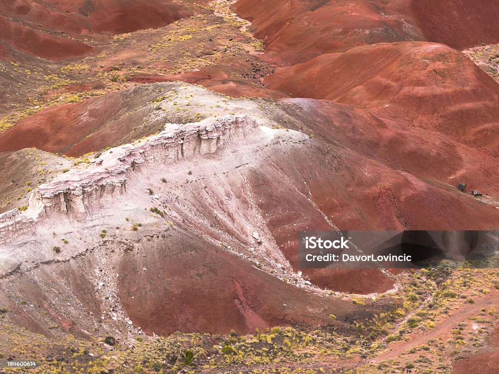 Wüste – detail - Lizenzfrei Arizona Stock-Foto
