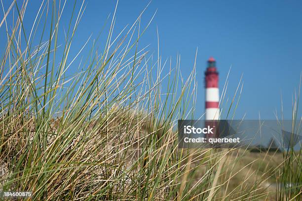 Leuchtturm Mit Reed Stockfoto und mehr Bilder von Deutsche Nordseeregion - Deutsche Nordseeregion, Deutschland, Fotografie