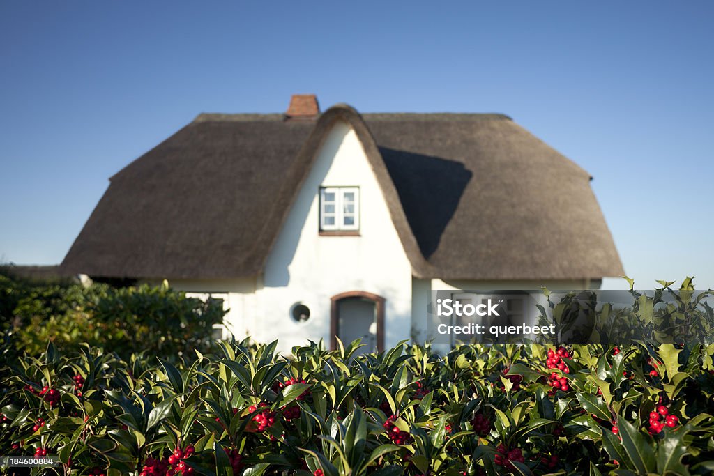 Cottage mit Strohdach Stroh auf dem Dach - Lizenzfrei Agrarbetrieb Stock-Foto