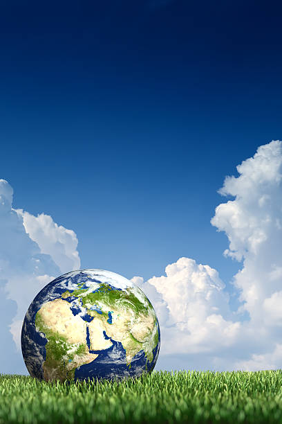 istock World glove on the green grass 184601016