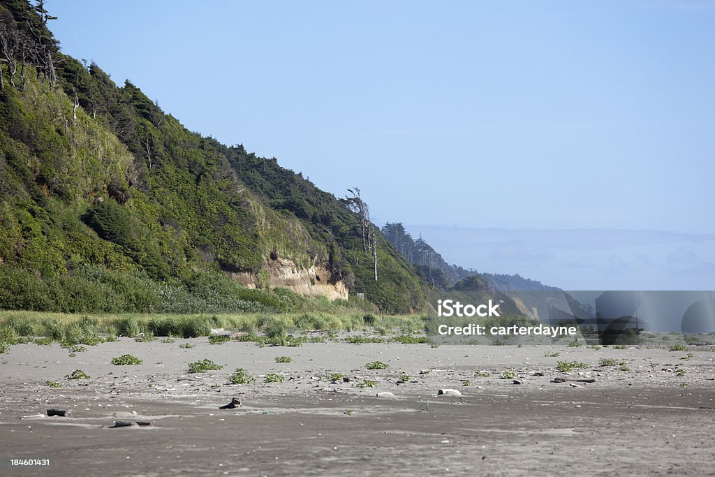 Pacific Beach State Park, Washington - Foto de stock de Areia royalty-free