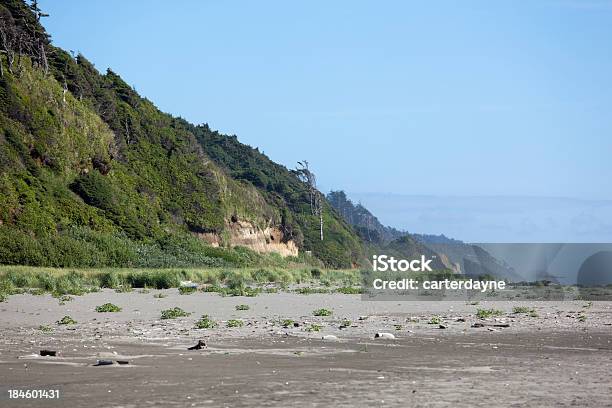 Foto de Pacific Beach State Park Washington e mais fotos de stock de Areia - Areia, Destino turístico, Dia