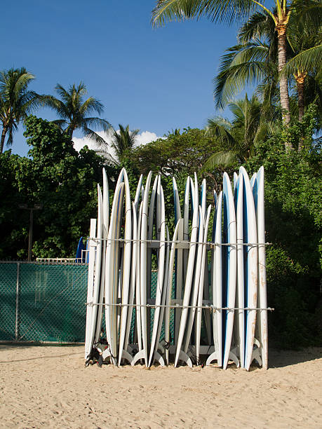 planches de surf à la location - hawaii islands big island waikiki beach photos et images de collection