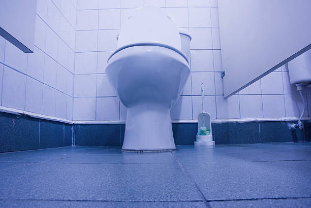 istock toilet bowl and cleaning brush 184602600
