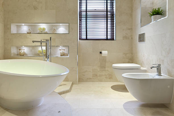 istock bidet, bath and toilet 184602662