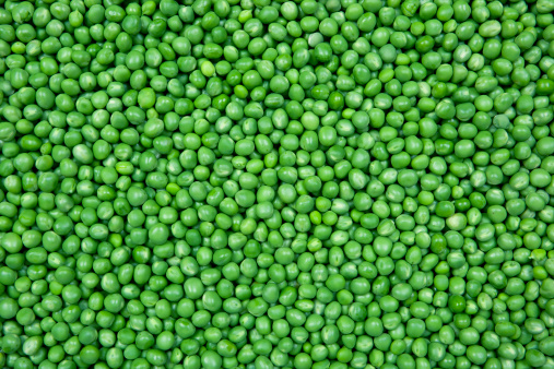 Grains of fresh green peas