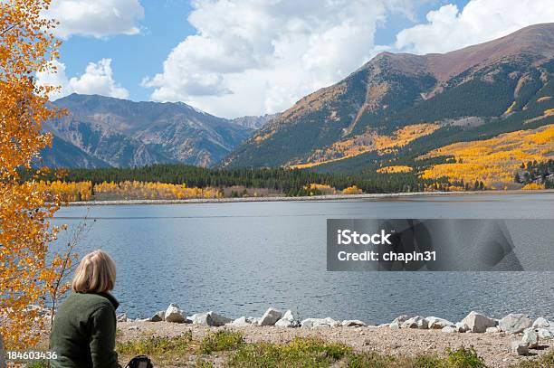 Photo libre de droit de Recherche De Couleurs Dautomne Du Mont Elbert Forebay banque d'images et plus d'images libres de droit de Adulte