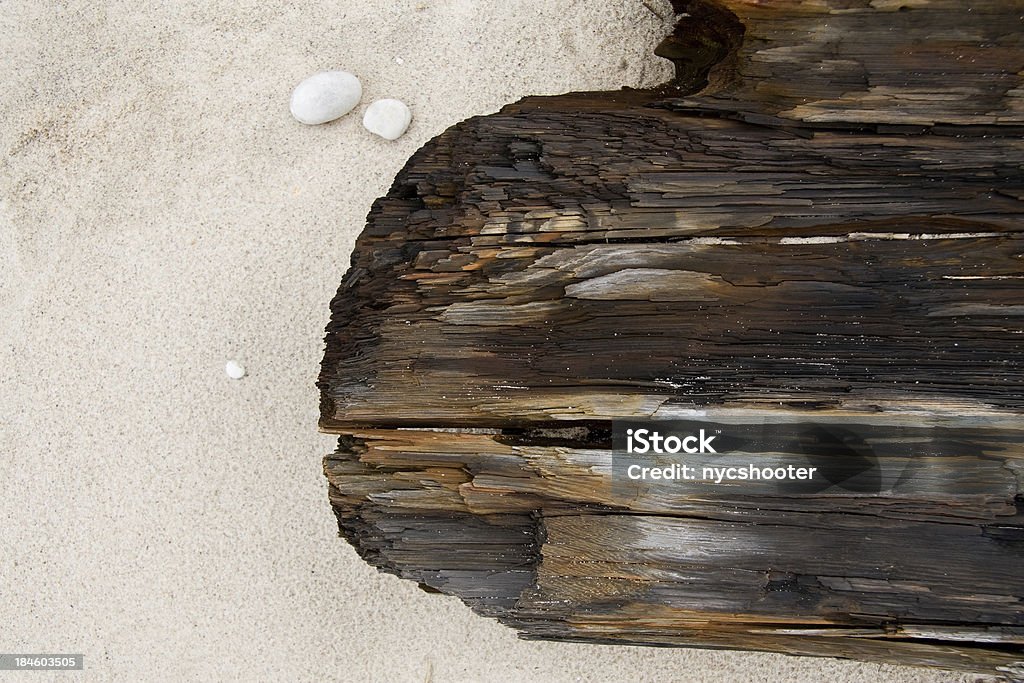 Driftwood am Strand - Lizenzfrei Bildhintergrund Stock-Foto