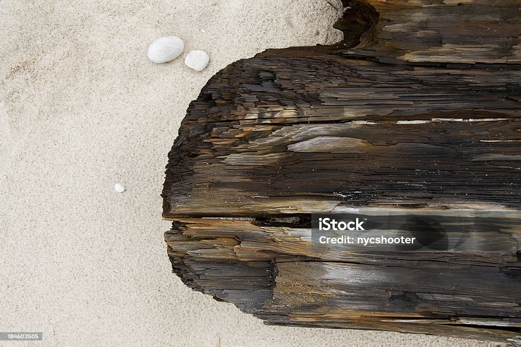 Сплавной лесоматериал на пляж - Стоковые фото Без людей роялти-фри