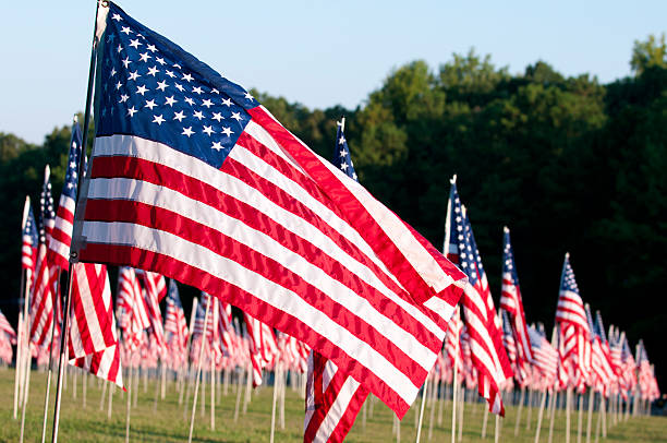 Field of Flags stock photo