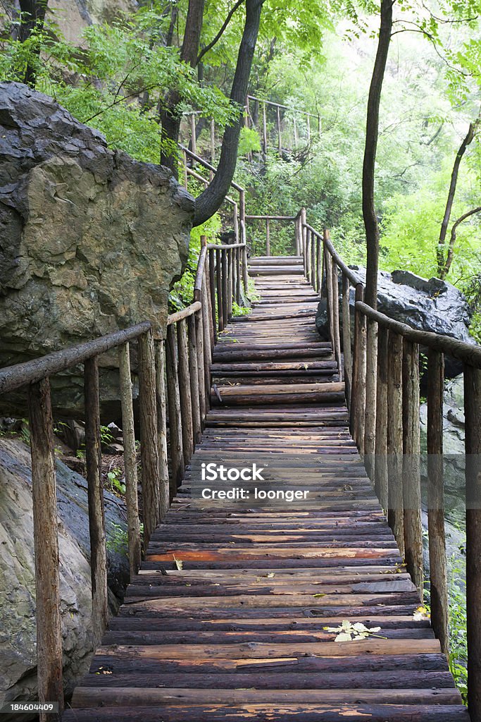 Green valley da ponte de madeira - Foto de stock de Bosque - Floresta royalty-free