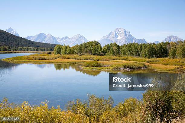 Grand Teton National Park Stockfoto und mehr Bilder von Amerikanische Kontinente und Regionen - Amerikanische Kontinente und Regionen, Baum, Berg