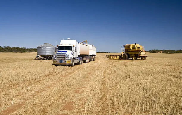 Photo of Barley Harvest