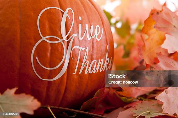 Thanksgivingthanksgiving Stockfoto und mehr Bilder von Dankbarkeit - Dankbarkeit, Thanksgiving, Bewunderung