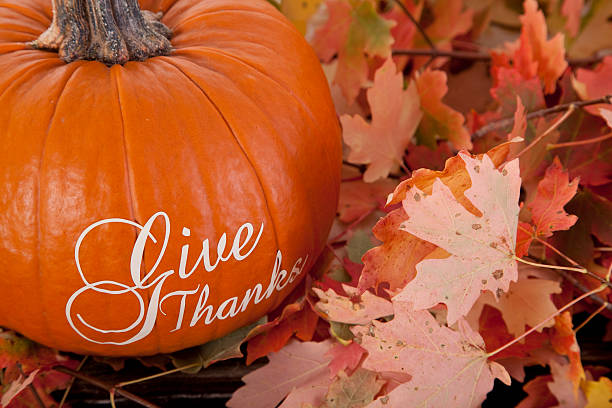 istock Give Thanks - Thank You 184604724
