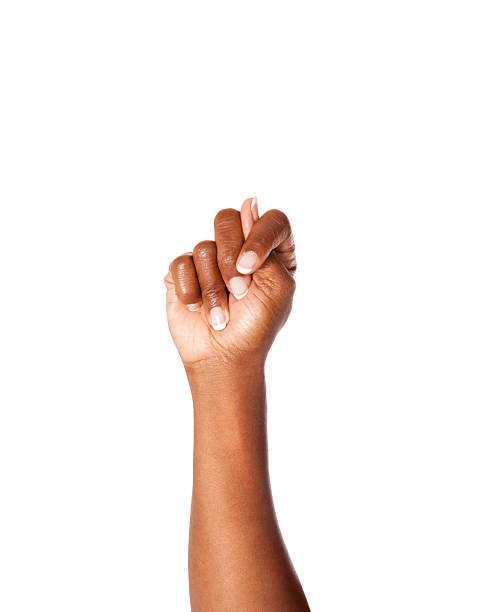 istock Letter T in American Sign Language 184605201