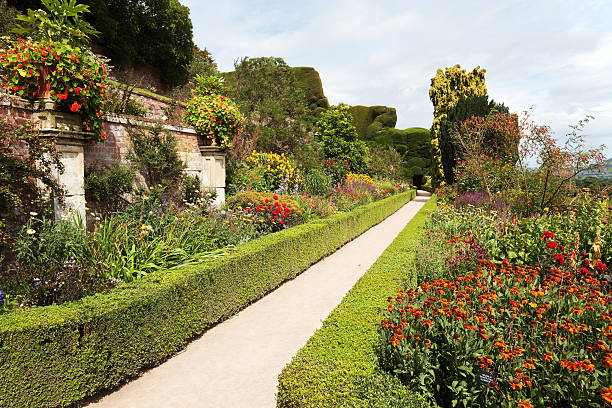 istock Gardens at Powis Castle.  Welshpool in Wales. 184605717