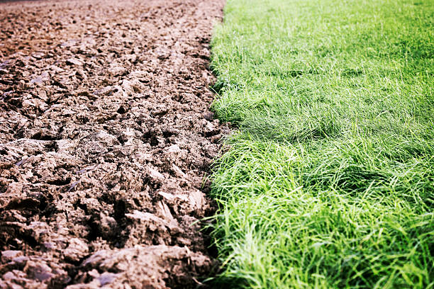 istock Freshly Plowed Field and Grass 184605757